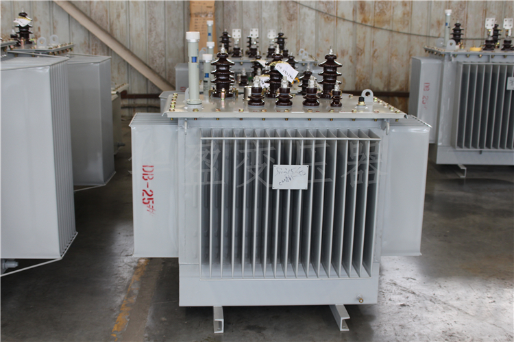 鄂州S20-800kVA/10kV/0.4kV变压器